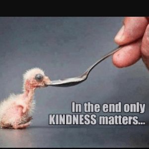 Makeup - Kindness is not for sale Makeup - Kindness is not for sale
